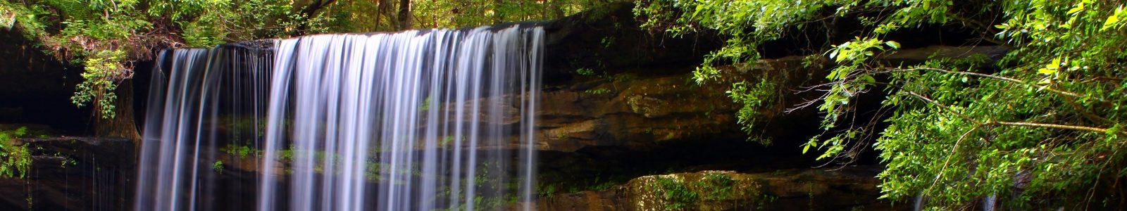 Banner showing a serene waterfall