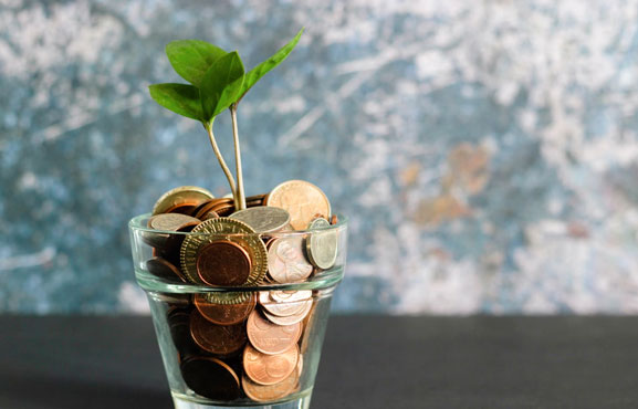 Plant blooming from coins in a jar